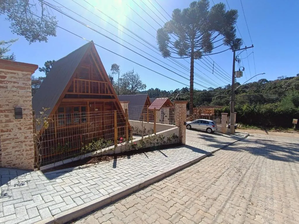 Rua de chegada aos chalés, com araucária